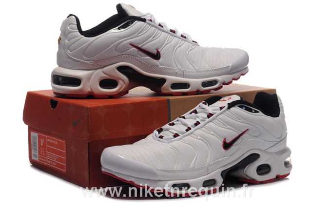 tn requin nike white 2010 01.JPG